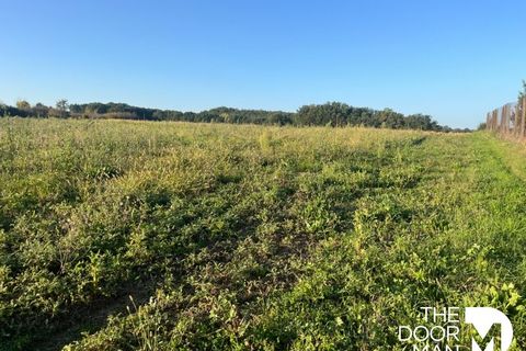 Terra a Labourgade, Tarn-et-Garonne, Labourgade - € 34.000 | Ref: 9253 - foto 3