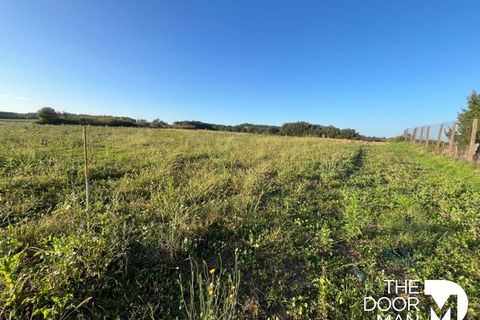 Terra a Labourgade, Tarn-et-Garonne, Labourgade - € 34.000 | Ref: 9253 - foto 4