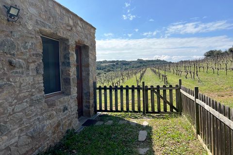 Villa i Saint-Chinian, Herault, Saint-Chinian - € 229.000 | Ref: e0401 - foto 2