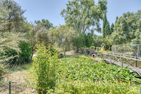 Villa i Benavente, Santarem, Benavente - € 645.000 | Ref: 120611304-1012 - foto 8