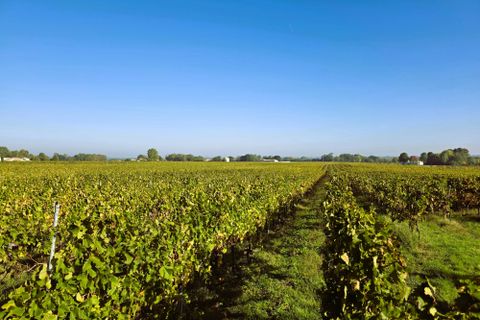 Villa a Genissac, Gironde, Genissac - € 1.905.000 | Ref: BVI83075 - foto 3