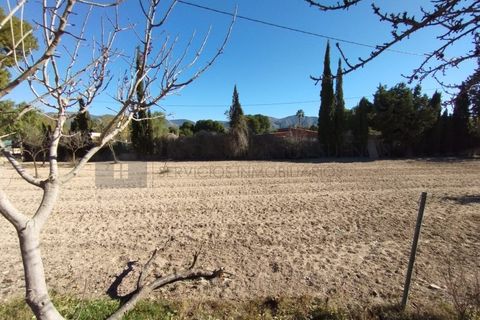 Landejendom i Sax, Alicante, Sax - € 185.000 | Ref: CAS_1490 - foto 42