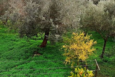 Byhus i Acquappesa, Cosenza, Acquappesa - € 200.000 | Ref: 1422 - foto 7
