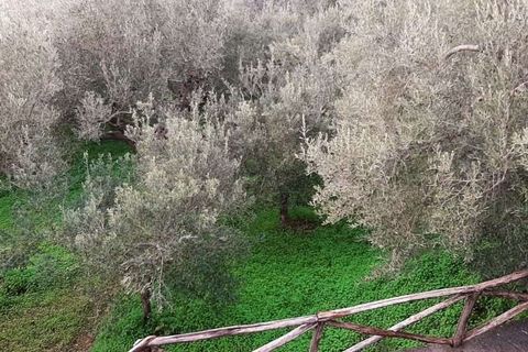 Byhus i Acquappesa, Cosenza, Acquappesa - € 200.000 | Ref: 1422 - foto 10