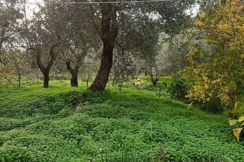 Byhus i Acquappesa, Cosenza, Acquappesa - € 200.000 | Ref: 1422 - foto 19