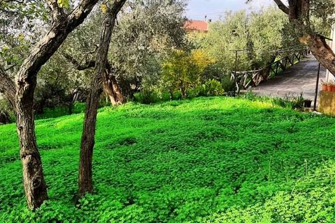 Byhus i Acquappesa, Cosenza, Acquappesa - € 200.000 | Ref: 1422 - foto 23