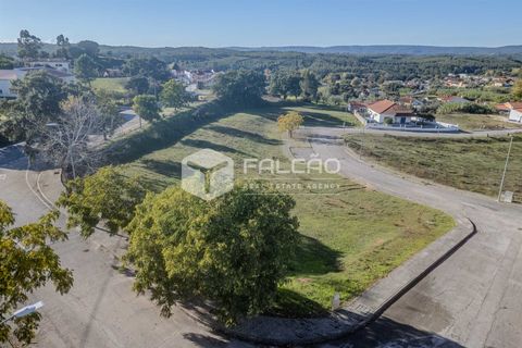 Helårsgrund i Santarem, Santarem, Santarem - € 24.000 | Ref: FR940 - foto 18
