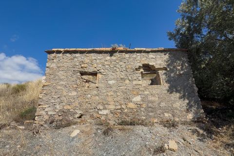 Helårsgrund i Torvizcon, Granada, Torvizcon - € 42.000 | Ref: GR3971/8251 - foto 17