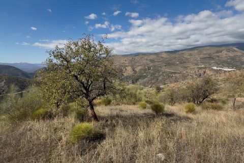 Helårsgrund i Torvizcon, Granada, Torvizcon - € 42.000 | Ref: GR3971/8251 - foto 25
