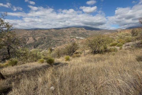 Helårsgrund i Torvizcon, Granada, Torvizcon - € 42.000 | Ref: GR3971/8251 - foto 26
