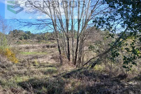 Farm i Castelo Branco, Castelo Branco, Castelo Branco - € 36.150 | Ref: 5734/RR_EM - foto 11