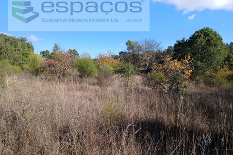 Farm i Castelo Branco, Castelo Branco, Castelo Branco - € 36.150 | Ref: 5734/RR_EM - foto 12