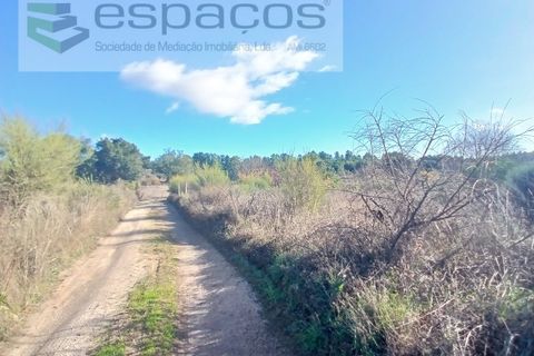 Farm i Castelo Branco, Castelo Branco, Castelo Branco - € 36.150 | Ref: 5734/RR_EM - foto 13