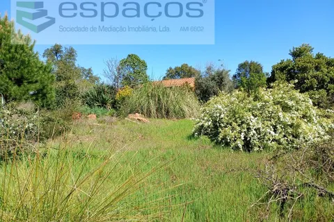 Farm i Castelo Branco, Castelo Branco, Castelo Branco - € 36.150 | Ref: 5734/RR_EM - foto 5