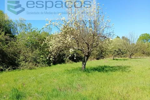 Farm i Castelo Branco, Castelo Branco, Castelo Branco - € 36.150 | Ref: 5734/RR_EM - foto 6