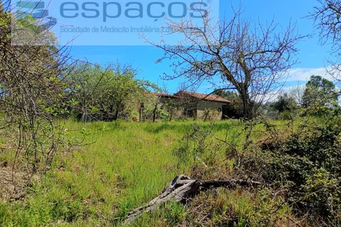 Farm i Castelo Branco, Castelo Branco, Castelo Branco - € 36.150 | Ref: 5734/RR_EM - foto 8