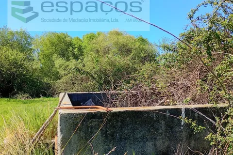 Farm i Castelo Branco, Castelo Branco, Castelo Branco - € 36.150 | Ref: 5734/RR_EM - foto 9