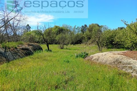 Farm i Castelo Branco, Castelo Branco, Castelo Branco - € 36.150 | Ref: 5734/RR_EM - foto 14