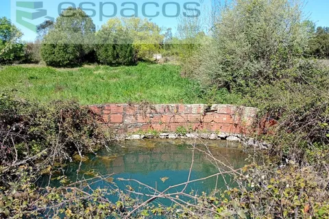 Farm i Castelo Branco, Castelo Branco, Castelo Branco - € 36.150 | Ref: 5734/RR_EM - foto 15