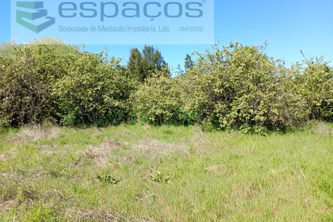 Farm i Castelo Branco, Castelo Branco, Castelo Branco - € 36.150 | Ref: 5734/RR_EM - foto 16
