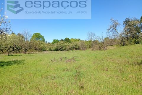 Farm i Castelo Branco, Castelo Branco, Castelo Branco - € 36.150 | Ref: 5734/RR_EM - foto 17