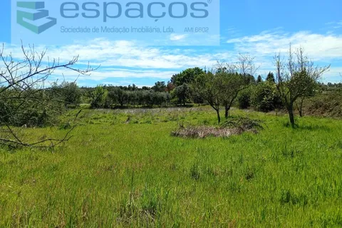 Farm i Castelo Branco, Castelo Branco, Castelo Branco - € 36.150 | Ref: 5734/RR_EM - foto 18