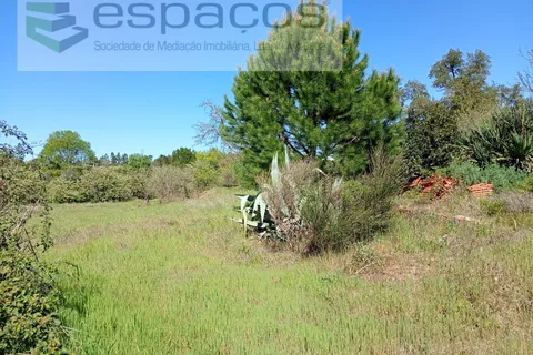 Farm i Castelo Branco, Castelo Branco, Castelo Branco - € 36.150 | Ref: 5734/RR_EM - foto 19