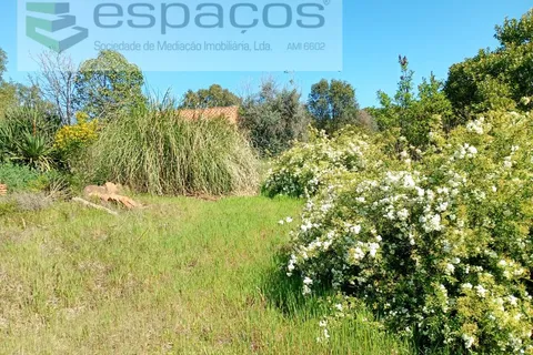 Farm i Castelo Branco, Castelo Branco, Castelo Branco - € 36.150 | Ref: 5734/RR_EM - foto 20
