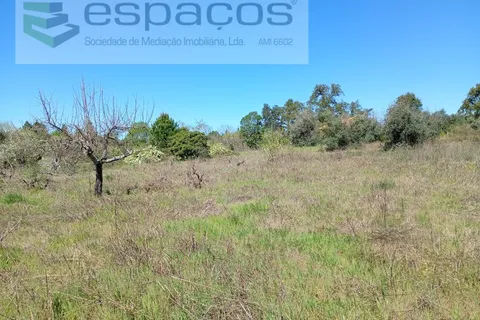 Farm i Castelo Branco, Castelo Branco, Castelo Branco - € 36.150 | Ref: 5734/RR_EM - foto 21