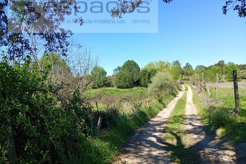 Farm i Castelo Branco, Castelo Branco, Castelo Branco - € 36.150 | Ref: 5734/RR_EM - foto 23