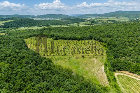 Masia a Sinalunga, Siena, Sinalunga - € 1.300.000 | Ref: CR201 - foto 42