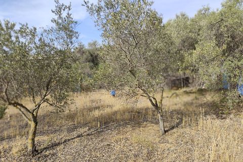 Terra a Monserrato, Cagliari, Monserrato - € 60.000 | Ref: VF137 - foto 2