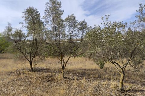 Terra a Monserrato, Cagliari, Monserrato - € 60.000 | Ref: VF137 - foto 3