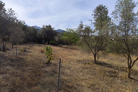Terra a Monserrato, Cagliari, Monserrato - € 60.000 | Ref: VF137 - foto 4