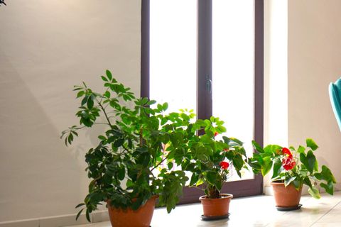 Villa i San Fele, Potenza, San Fele - € 125.000 | Ref: 6923 - foto 4