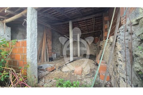 Villa i Miranda do Corvo, Coimbra, Miranda do Corvo - € 99.000 | Ref: cbr3352 - foto 10