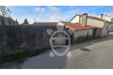 Villa i Miranda do Corvo, Coimbra, Miranda do Corvo - € 99.000 | Ref: cbr3352 - foto 14