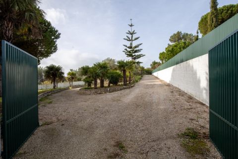 Villa i Alcabideche, Lisbon, Alcabideche - € 1.740.000 | Ref: AR-131 - foto 40
