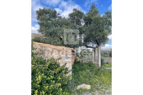 Helårsgrund i Quelfes, Faro, Quelfes - € 330.000 | Ref: 022250084 - foto 8