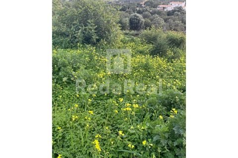 Helårsgrund i Quelfes, Faro, Quelfes - € 330.000 | Ref: 022250084 - foto 9