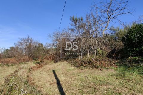 Ruinere i Amarante, Porto, Amarante - € 19.900 | Ref: DSPMCANAVSN26 - foto 2