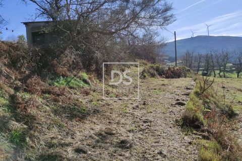 Ruinere i Amarante, Porto, Amarante - € 19.900 | Ref: DSPMCANAVSN26 - foto 11