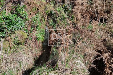 Ruinere i Amarante, Porto, Amarante - € 19.900 | Ref: DSPMCANAVSN26 - foto 5