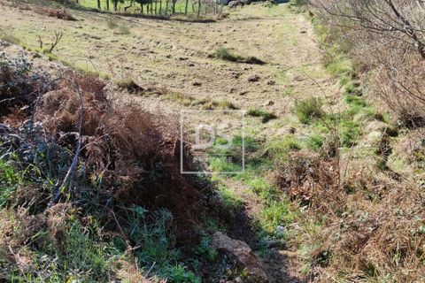 Ruinere i Amarante, Porto, Amarante - € 19.900 | Ref: DSPMCANAVSN26 - foto 6