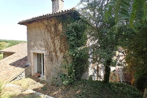 Landsbyhus i Romagne, Vienne, Romagne - € 49.700 | Ref: 236_SDY-0025001 - foto 7