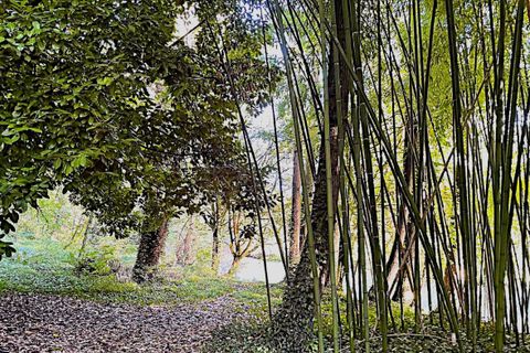 Landsbyhus i Romagne, Vienne, Romagne - € 49.700 | Ref: 236_SDY-0025001 - foto 10