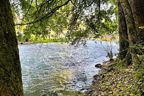 Landsbyhus i Romagne, Vienne, Romagne - € 49.700 | Ref: 236_SDY-0025001 - foto 11