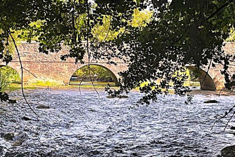 Landsbyhus i Romagne, Vienne, Romagne - € 49.700 | Ref: 236_SDY-0025001 - foto 12