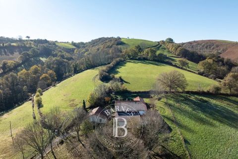 Villa a Saint-Palais, Pyrenees-Atlantiques, Saint-Palais - € 630.000 | Ref: M1785 - foto 30
