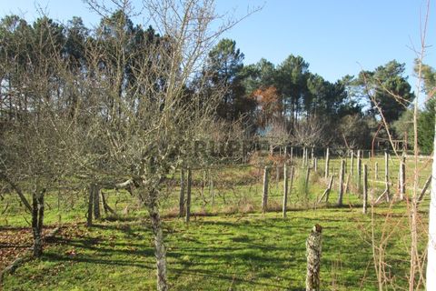 Lejlighed i Aveiro, Aveiro, Aveiro - € 380.000 | Ref: MRAVR_ZG_120077_U - foto 50